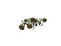 1000 Pcs 6 X 3/8 Slotted Hex Head Sheet Metal Screws Musket Brown Fasteners Screws Set