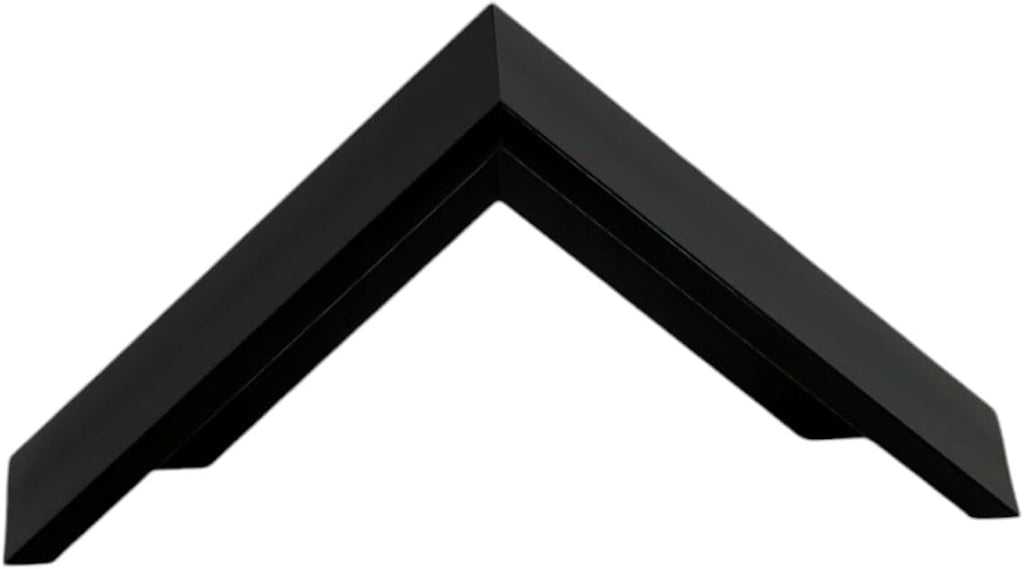 Black Floater Frame for 1.5' deep Canvas (20x24')