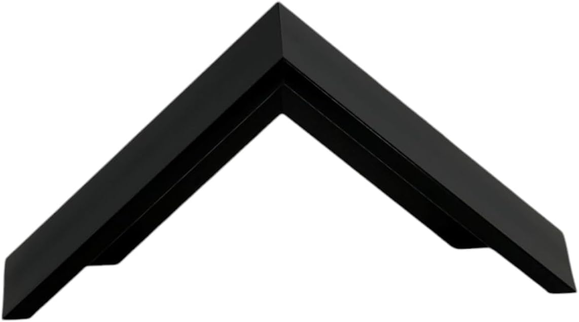 Black Floater Frame for 1.5' deep Canvas (20x24')