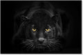 SEVEN WALL ARTS Black Panther Canvas Wall Art Large Size Black and White Wildlife Animal Pictures Poster Print Framed Artwork for Living Room Bedroom Kitchen Office Bathroom Decor