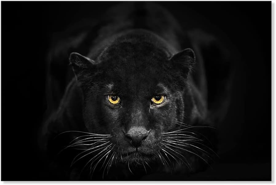 SEVEN WALL ARTS Black Panther Canvas Wall Art Large Size Black and White Wildlife Animal Pictures Poster Print Framed Artwork for Living Room Bedroom Kitchen Office Bathroom Decor