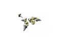 1000 Pcs 6 X 3/8 Slotted Hex Head Sheet Metal Screws Desert Sand Fasteners Screws Set
