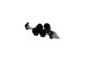 10000 Pcs 6 X 3/8 Slotted Hex Head Sheet Metal Screws Black Fasteners Screws Set