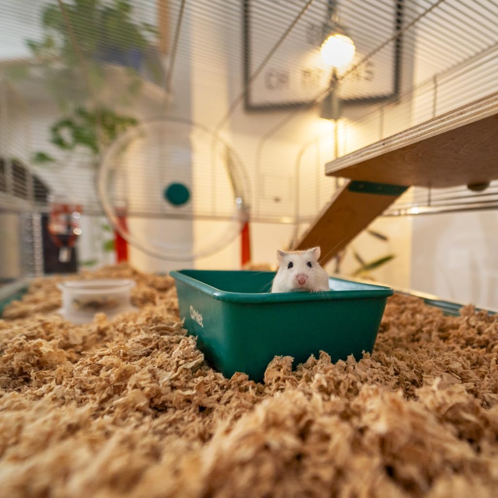 Omlet Hamster Cage | Large, Safe & Customizable Space | Easy Clean Hamster Cage | Unique Anti Spill Hamster Bedding Tray | Includes a Hamster Silent Wheel, Food Bowl, Water Bottle & 2 Hides