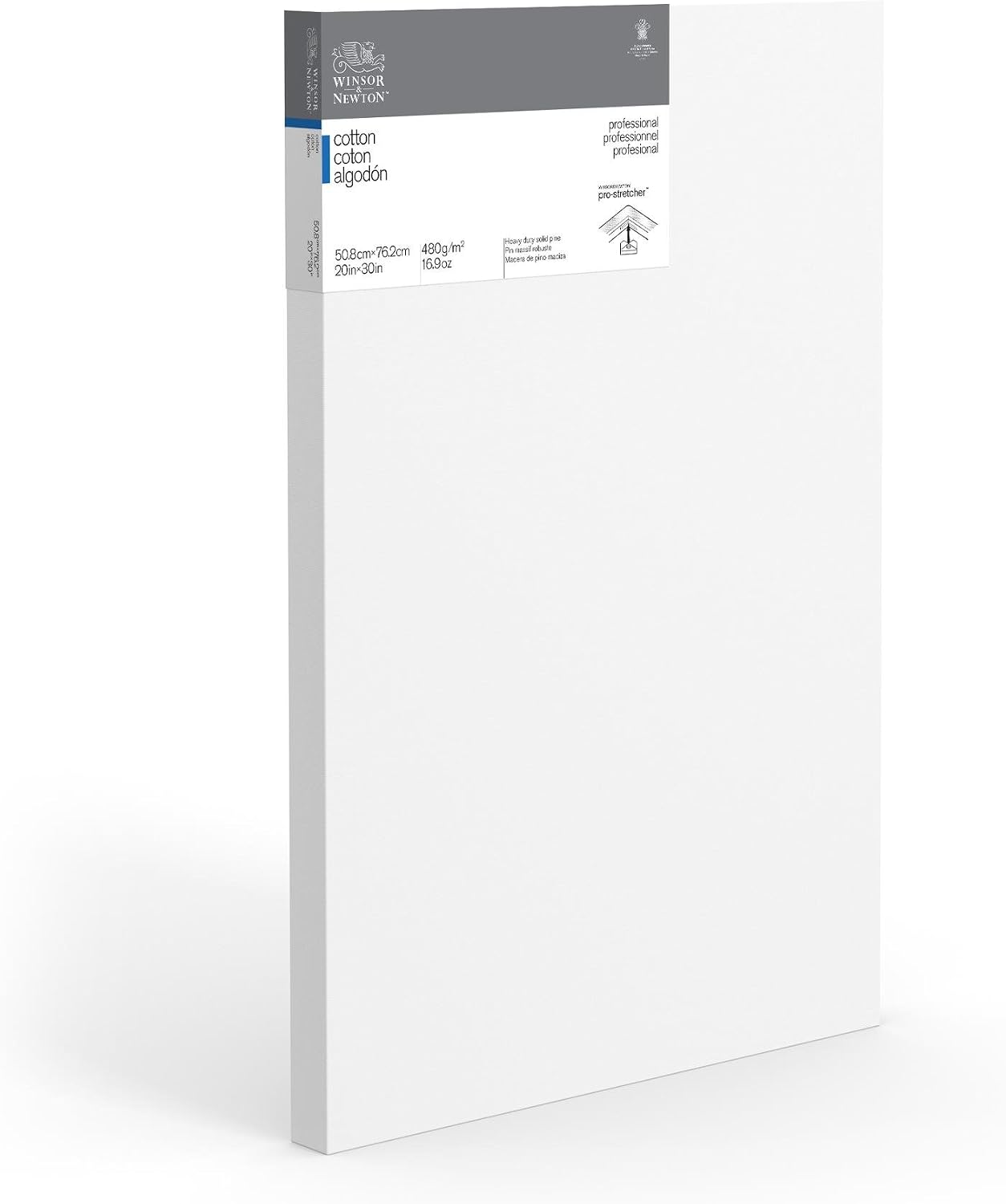 Winsor & Newton Professional Cotton Canvas, 20' x 30' Deep Edge