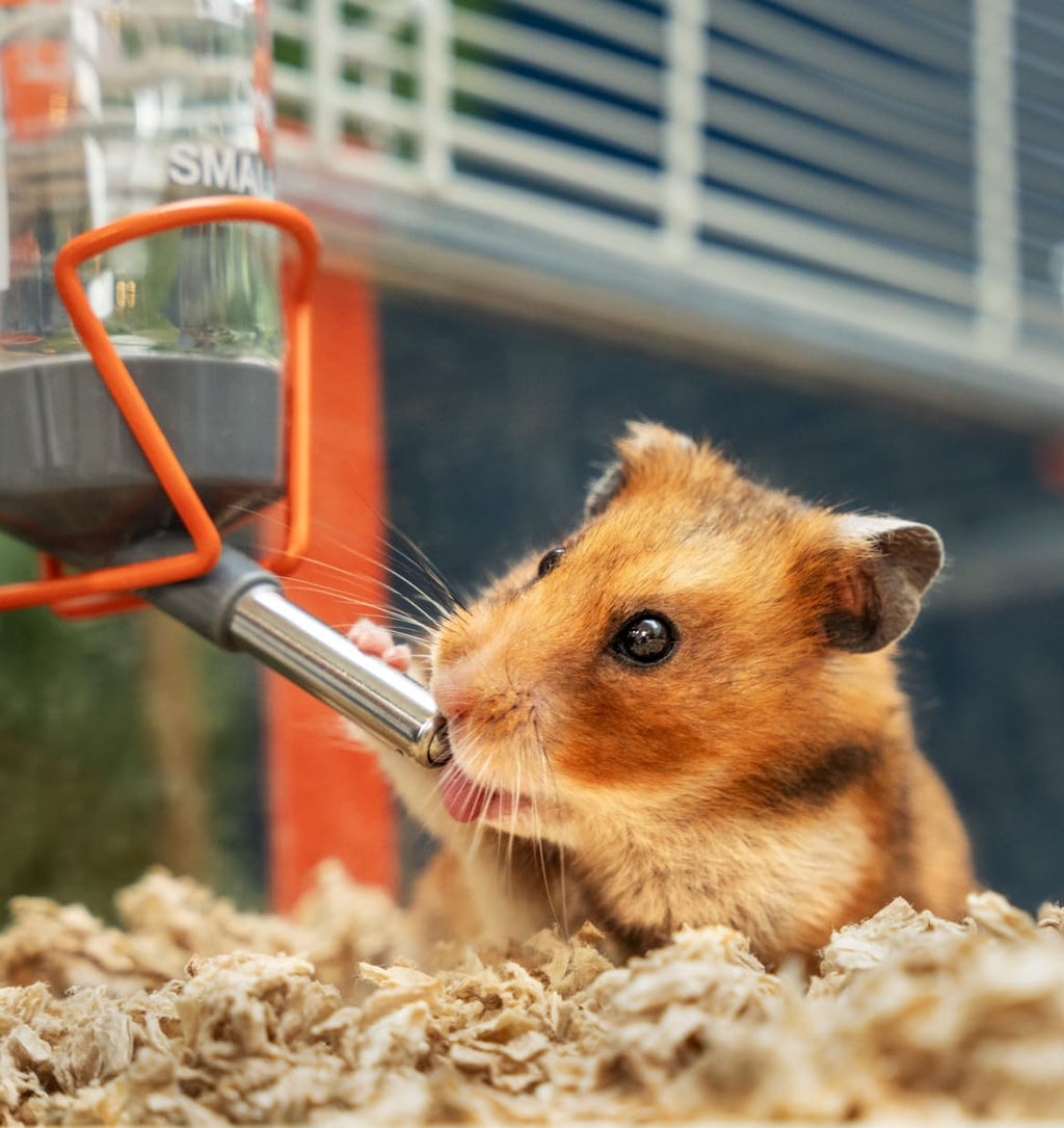 Omlet Hamster Cage | Large, Safe & Customizable Space | Easy Clean Hamster Cage | Unique Anti Spill Hamster Bedding Tray | Includes a Hamster Silent Wheel, Food Bowl, Water Bottle & 2 Hides