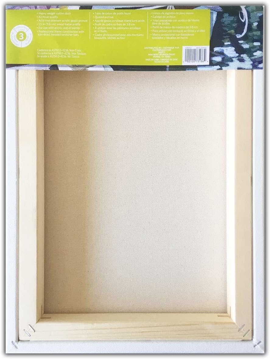 Artist's Loft Level 3 Gallery Wrapped Heavy Duty Canvas, 12 Pack