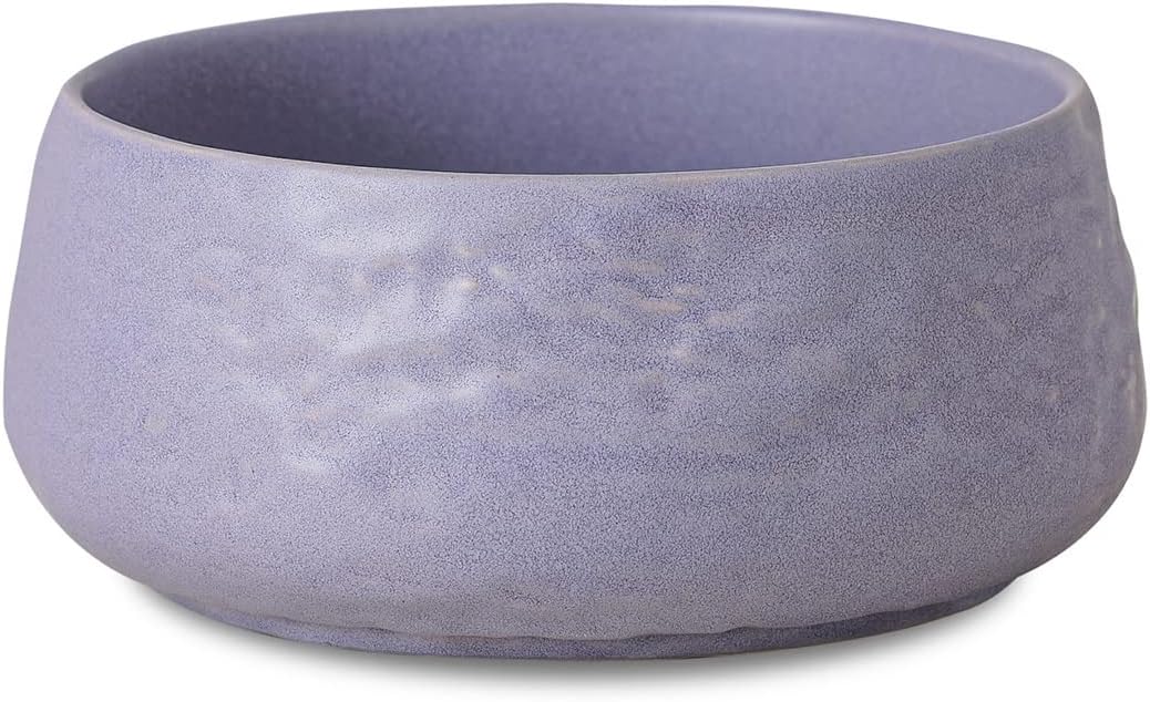 Stone by Mercer Project SHOSAI 16-Piece Stoneware Dinnerware Set, Plates and Bowls Set, Modern Dishware set fo 4, Lavender