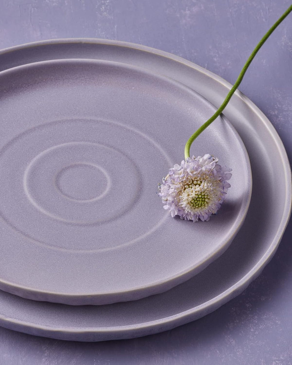 Stone by Mercer Project SHOSAI 16-Piece Stoneware Dinnerware Set, Plates and Bowls Set, Modern Dishware set fo 4, Lavender