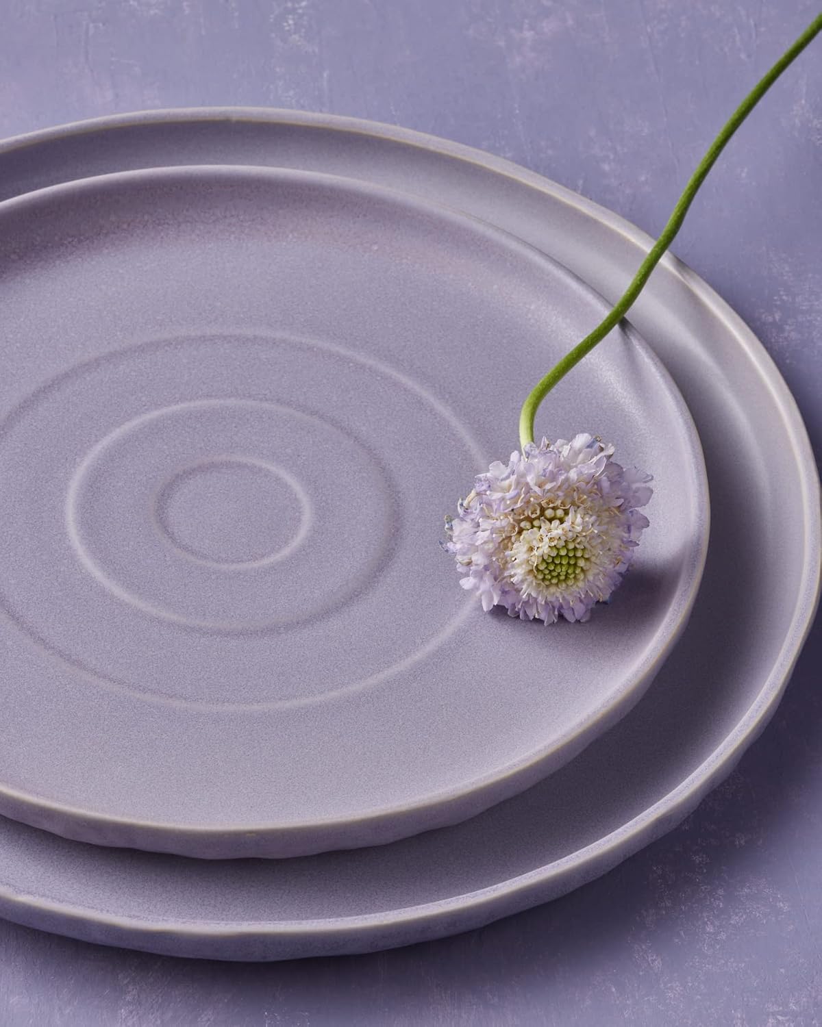 Stone by Mercer Project SHOSAI 16-Piece Stoneware Dinnerware Set, Plates and Bowls Set, Modern Dishware set fo 4, Lavender
