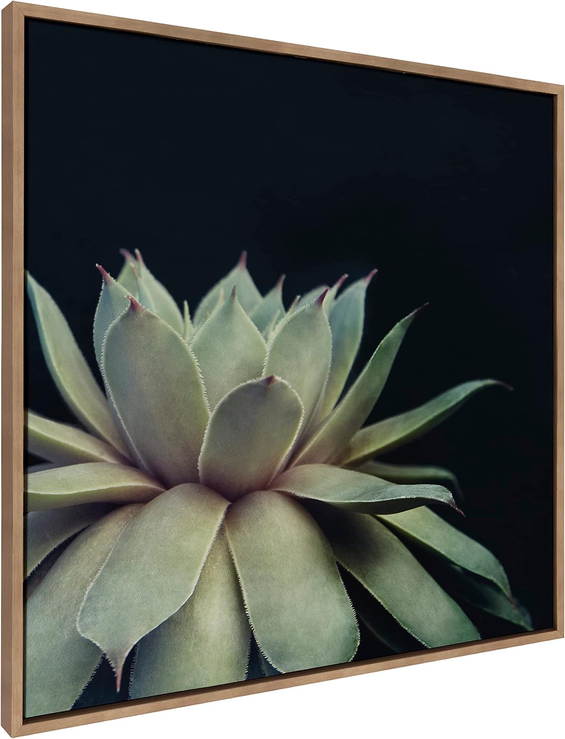 Kate and Laurel Sylvie Succulent 8 Framed Canvas Wall Art by Emiko and Mark Franzen of F2Images; 30x30 Gold; Dramatic Greenery Art for Wall