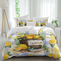 Summer Fruit Duvet Cover Set Queen Size 4 Pieces Watercolor Lemon Frame Letter Print Blue Yellow Plaid Bedding Set with Zipper Closure, 1 Comforter Cover 90x92 Inches 1 Flat Sheet & 2 Pillow Cases