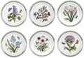 Portmeirion Botanic Garden Salad Plates, Set of 6 Assorted Motifs