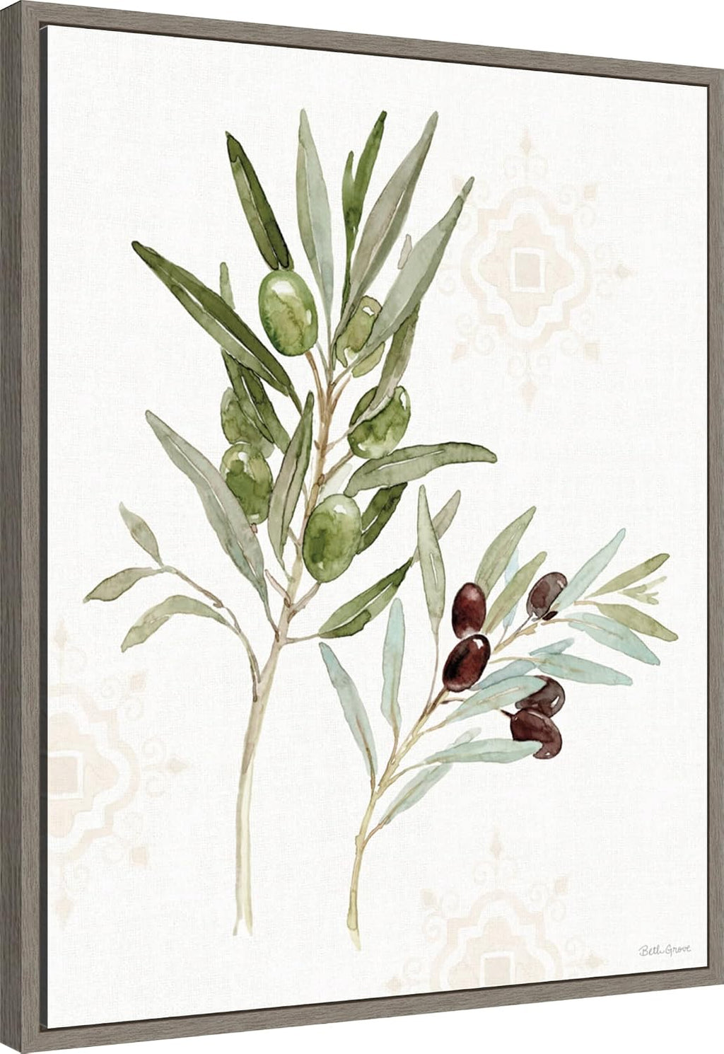 Amanti Art Framed Canvas Wall Art 28x23 Mediterranean Motif VIII by Beth Grove, Framed Wall Art Canvas, Flowers Artwork, Country Rustic Decor, Medium Poster Painting for Living Room, Bedroom,