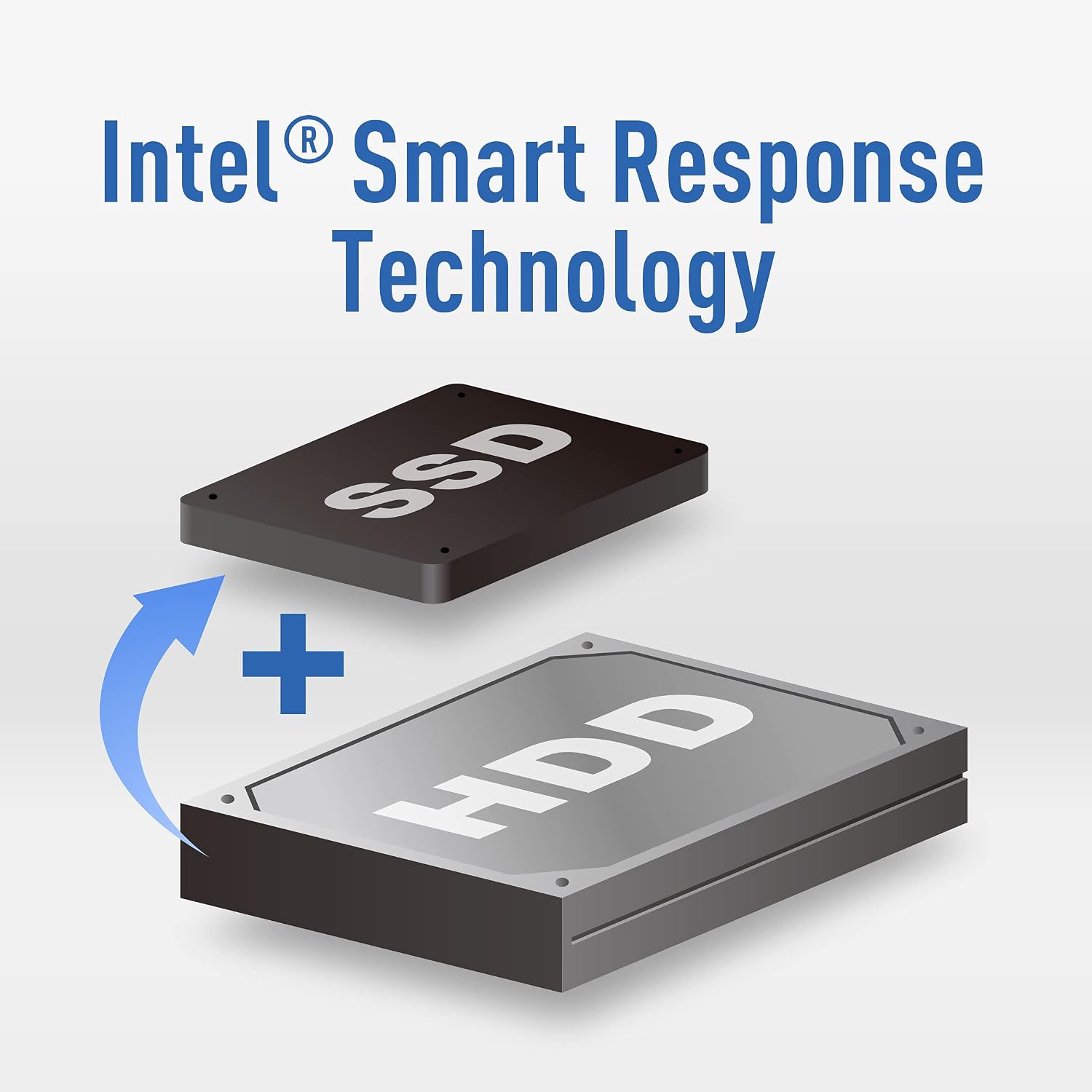 TEAMGROUP MS30 1TB with SLC Cache 3D NAND TLC M.2 2280 SATA III 6Gb/s Internal Solid State Drive SSD (Read/Write Speed up to 530/480 MB/s) Compatible with Laptop & PC Desktop TM8PS7001T0C101