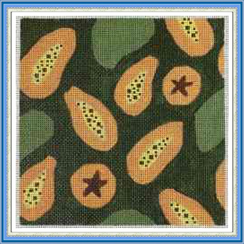 Sacramento Stitchery Needlepiont Hand-Painted Canvas for Beginners or Advance, 18CT(Fruit Slice - Papaya)