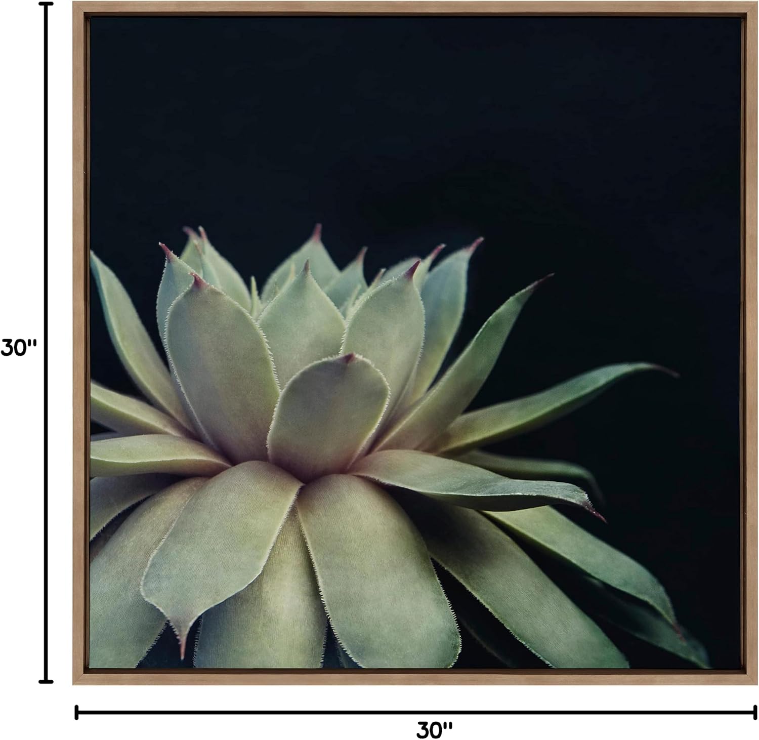 Kate and Laurel Sylvie Succulent 8 Framed Canvas Wall Art by Emiko and Mark Franzen of F2Images; 30x30 Gold; Dramatic Greenery Art for Wall