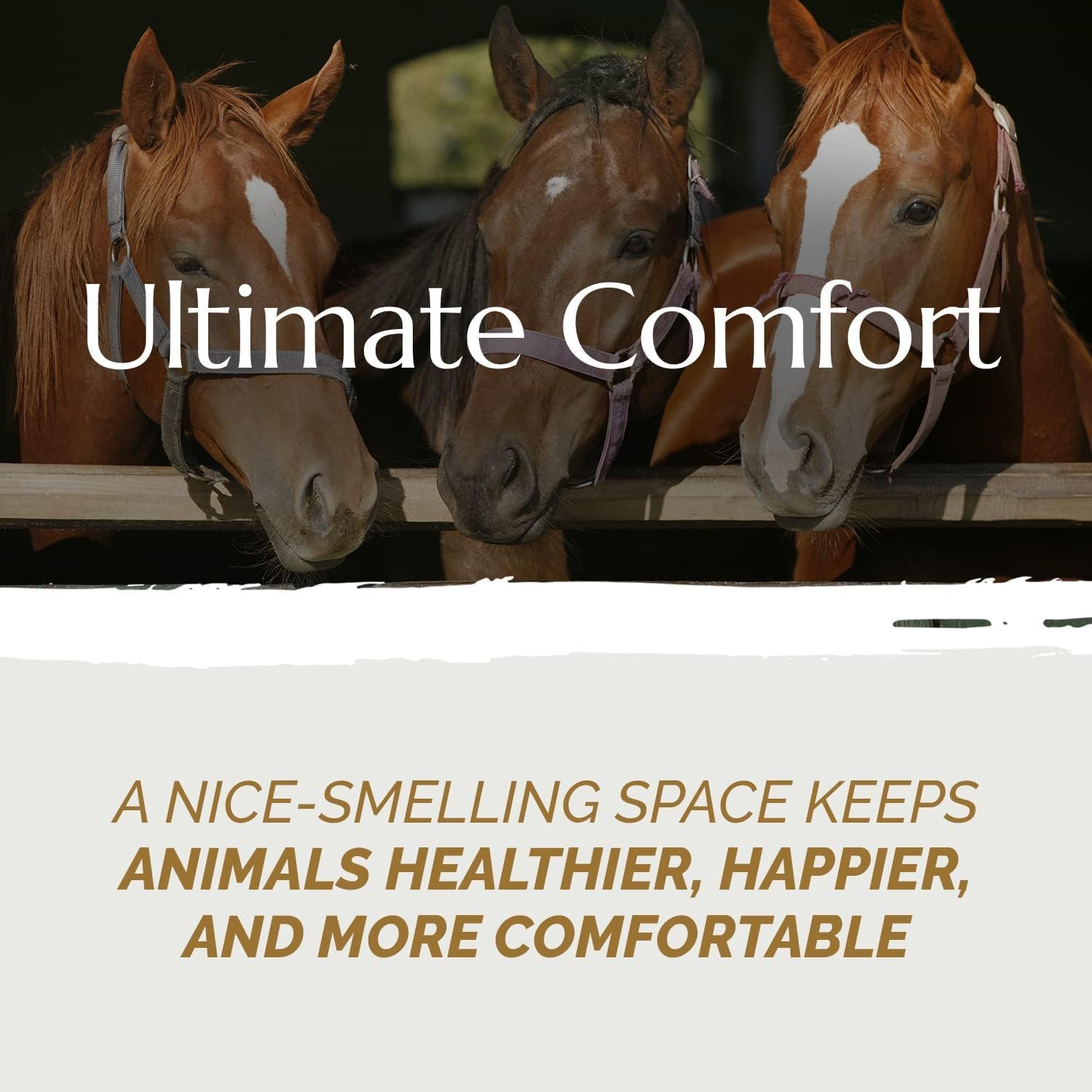 Aubiose French Hemp Bedding 44lb — Chicken Coop & Horse Stall Bedding | Ultra Low Dust Odor Control Deep Litter Ready | Premium Hemp Shavings for Chickens Horses Rabbits & Small Animals (Pack of 2)