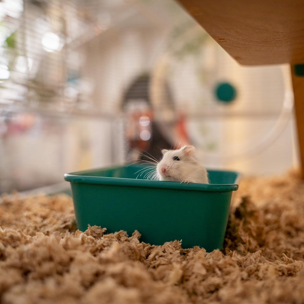 Omlet Hamster Cage with Stand | Large, Safe & Customizable Space | Easy Clean Habitat | Unique Anti Spill Bedding Tray | Includes a Hamster Silent Wheel, Food Bowl, Water Bottle & 2 Hides