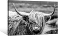 SEVEN WALL ARTS Scottish Highland Cow Canvas Wall Art Black and White Wall Decor Cattle Picture Print Photography Wildlife Animal Portrait Framed Farmhouse Artwork for Living Room Bedroom Office Decor