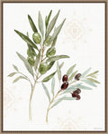 Amanti Art Framed Canvas Wall Art 28x23 Mediterranean Motif VIII by Beth Grove, Framed Wall Art Canvas, Flowers Artwork, Traditional Decor, Medium Poster Painting for Living Room, Bedroom, Bathroom,