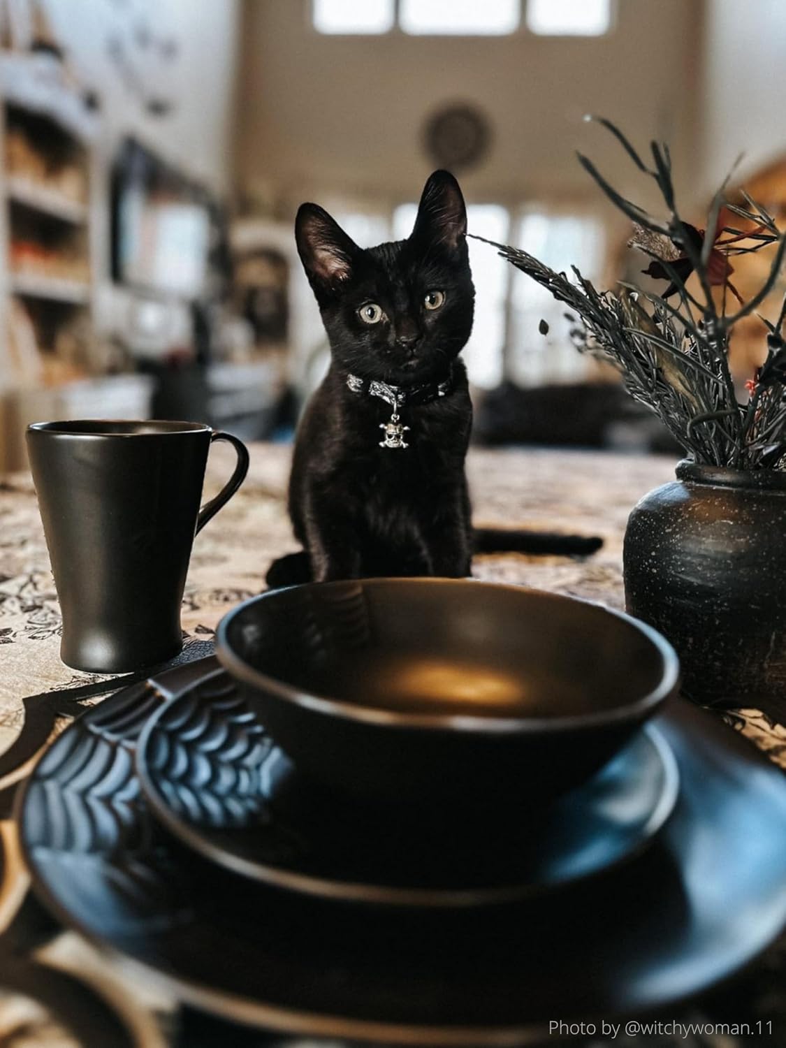 Nomnu Spiderweb Dinnerware Set (16 Pieces) - Goth Dinnerware Set - Black Matte Porcelain - 4 Dinner Plates 4 Salad Plates 4 Bowls 4 Mugs - Halloween Spooky Dishes Gothic Kitchen Decor Gifts
