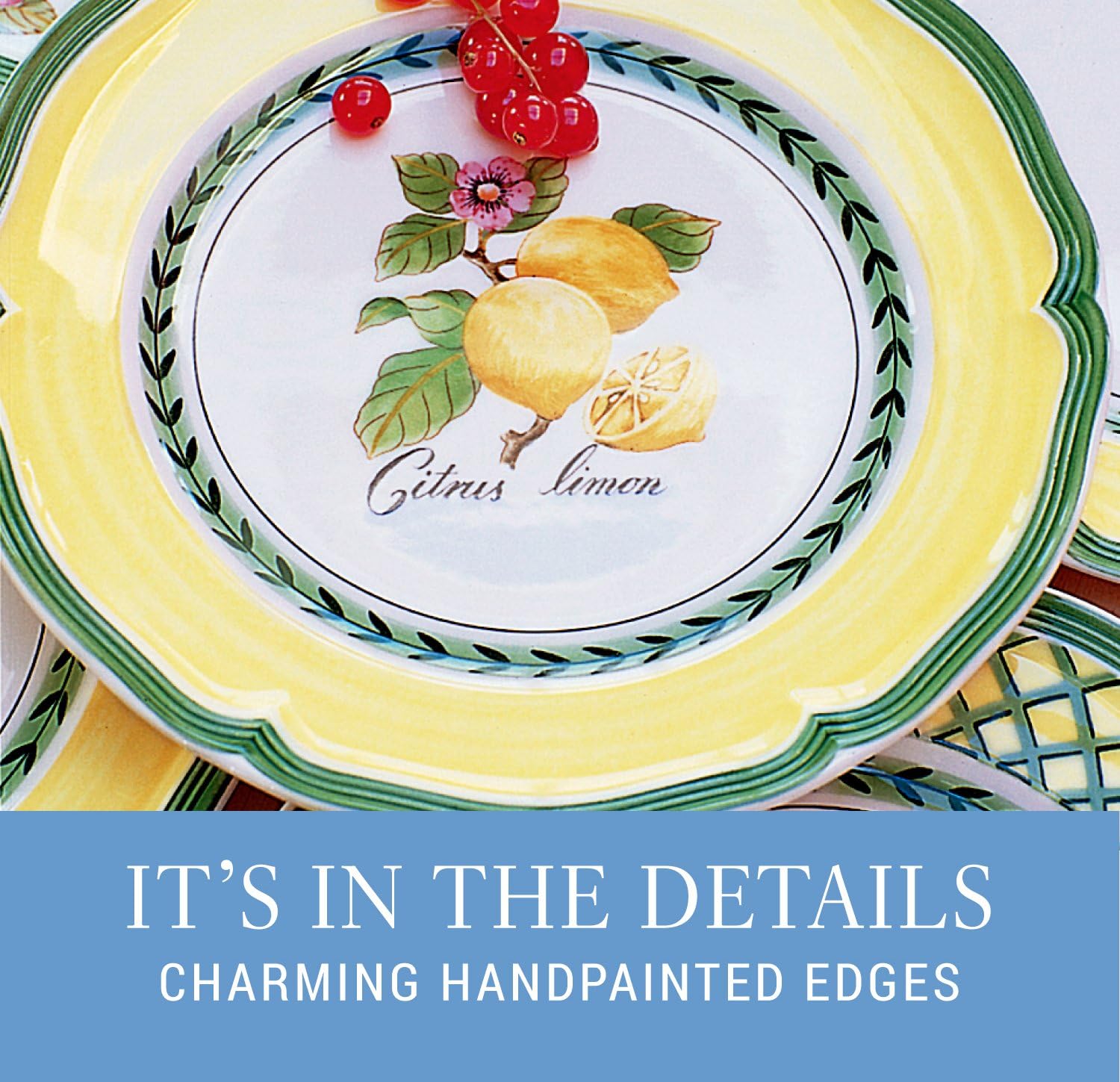 Villeroy & Boch French Garden Valance Salad Plates, Set of 6