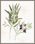 Amanti Art Framed Canvas Wall Art 28x23 Mediterranean Motif VIII by Beth Grove, Framed Wall Art Canvas, Flowers Artwork, Country Rustic Decor, Medium Poster Painting for Living Room, Bedroom,