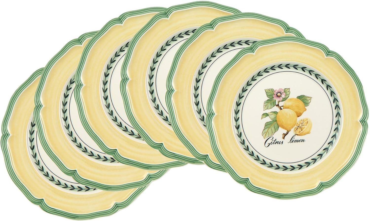 Villeroy & Boch French Garden Valance Salad Plates, Set of 6