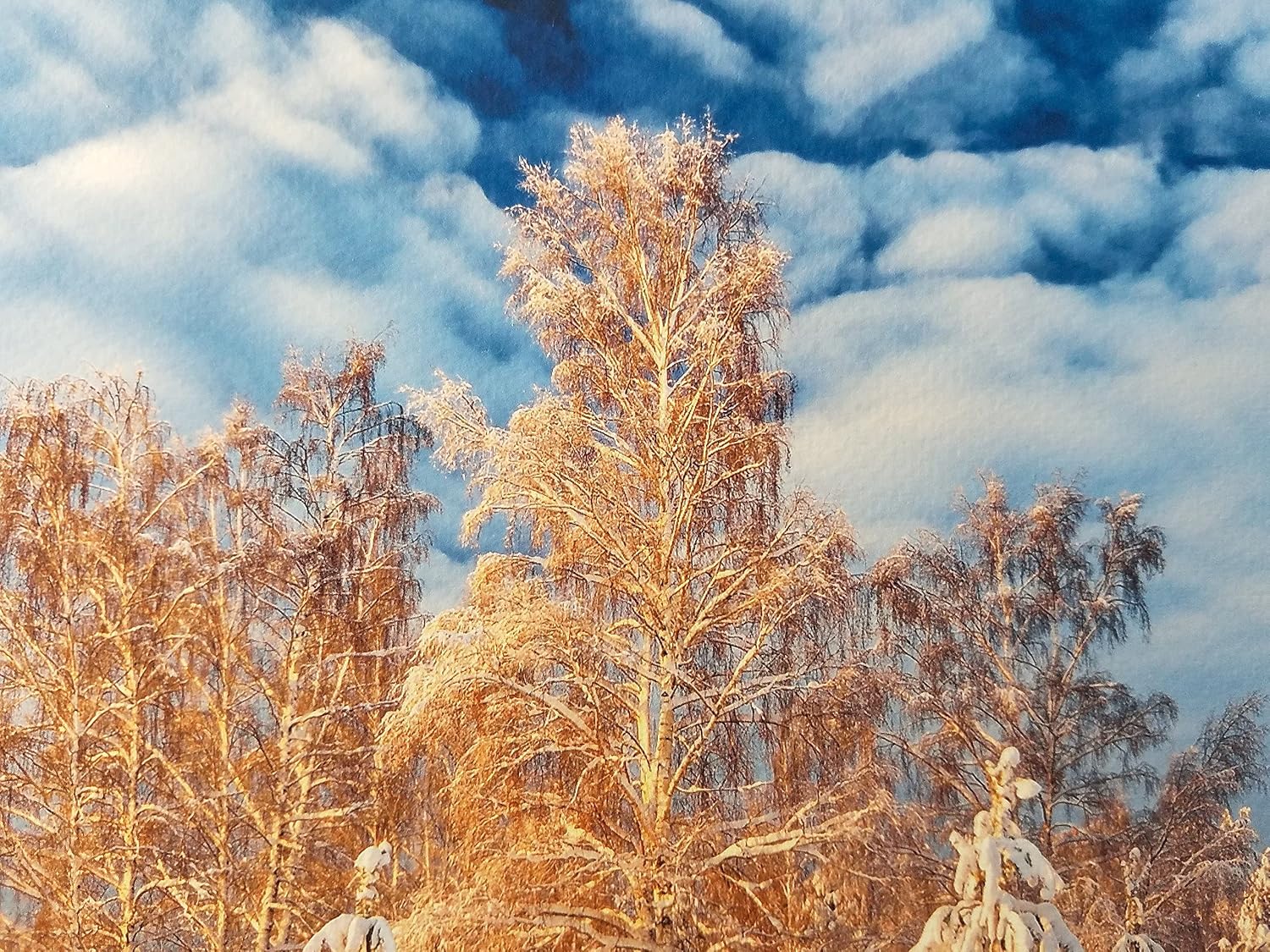 11' X 14' Cold Press Watercolor Fine Art Inkjet Paper - 50 Sheets