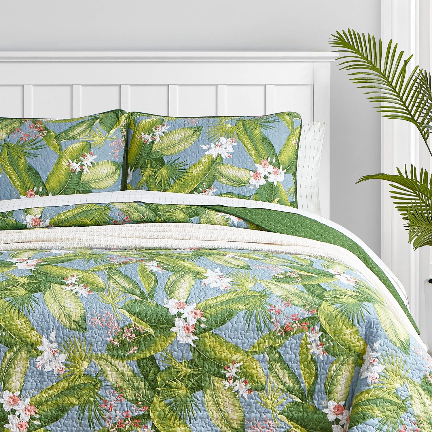 Tommy Bahama Quilt Set Reversible Cotton Bedding with Matching Shams, Lightweight Home Decor for All Seasons, Sky